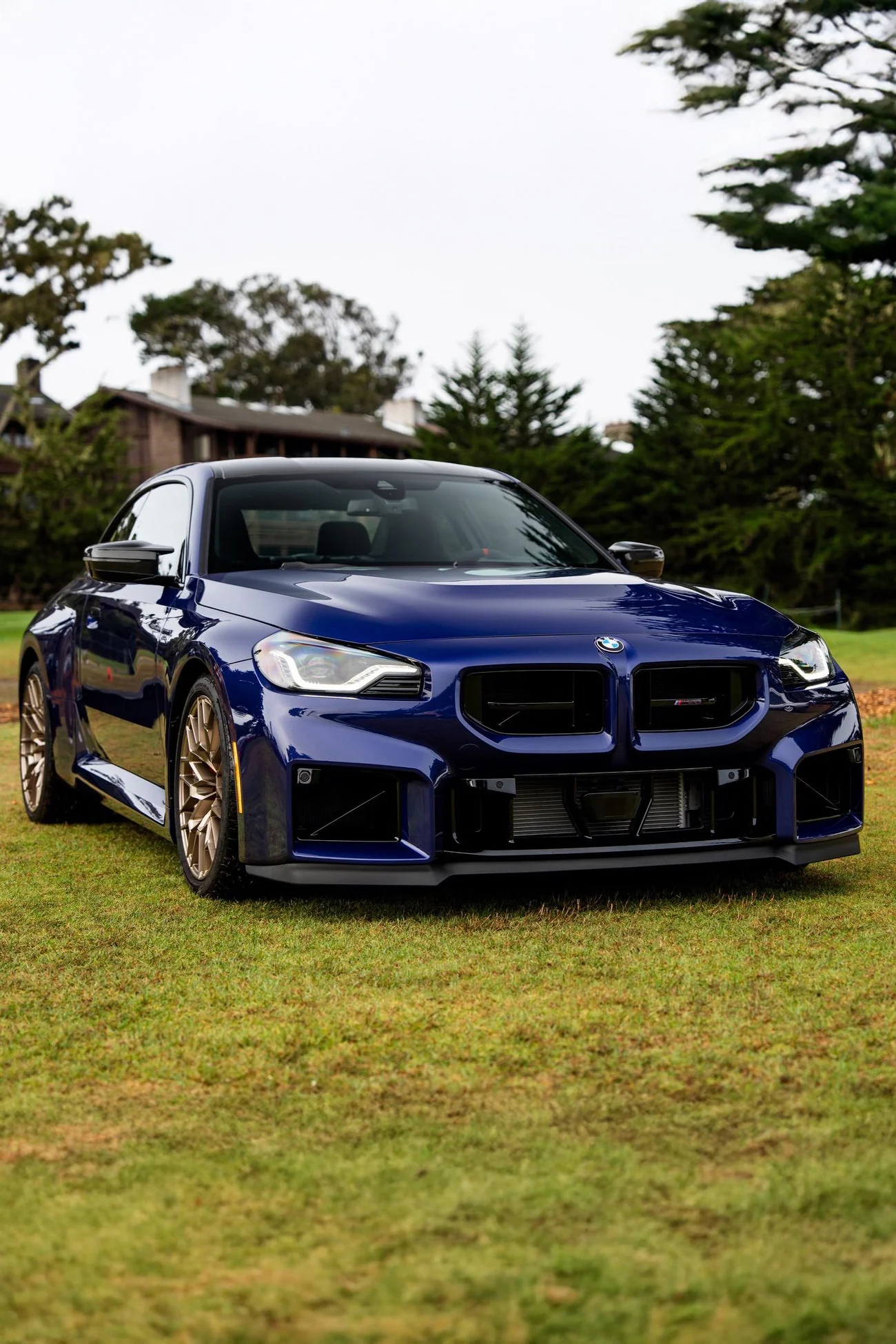 BMW G87 M2 CS Genuine Front Grill - Image 6